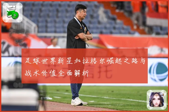 足球世界新星加拉格尔崛起之路与战术价值全面解析